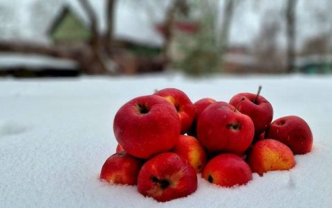 农产品商标名称取名大全 特色优选600个