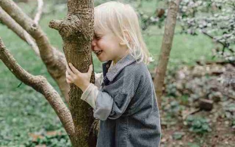 姓陈女孩取名大全2023属兔 优选220个