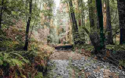 木业有限公司起名大全最新 特选300个