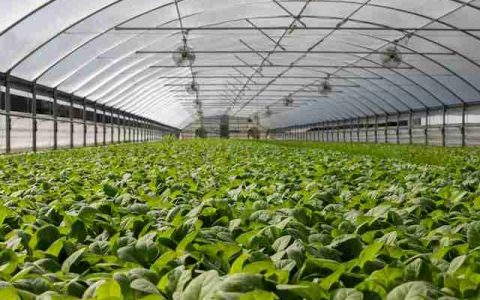 农资公司取名大全查询 特选300个