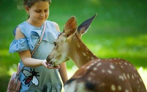 姓贺女孩高雅有涵养的名字 特选300个