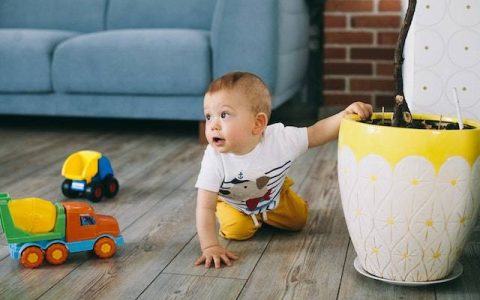 姓丛的男孩怎样取名 优选500个