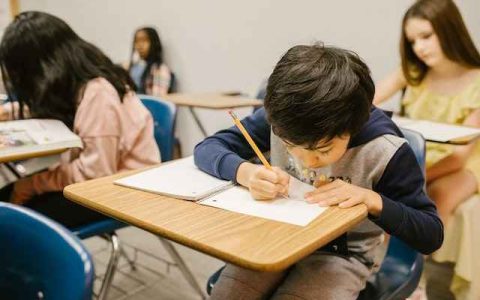 姓高女孩名字大全2023属兔 优选600个