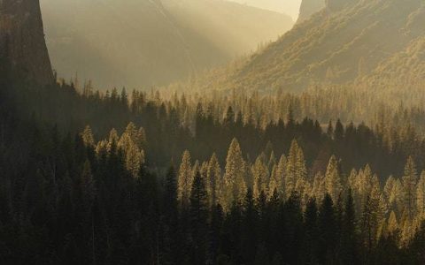 园林公司起名大全好听大气 特选300个