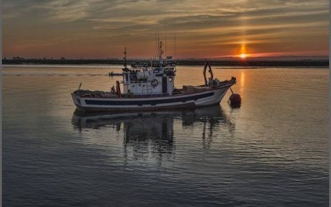 注册水产公司起名大全 特选800个