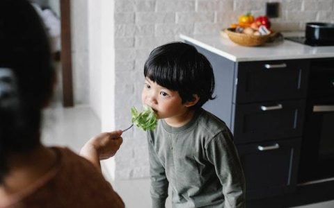 姓韩的兔宝宝男孩名字 特选400个