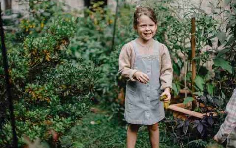 姓贾的女孩名字大全 特选500个