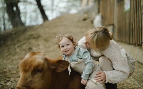 胡姓男孩名字大全属兔 优选400个