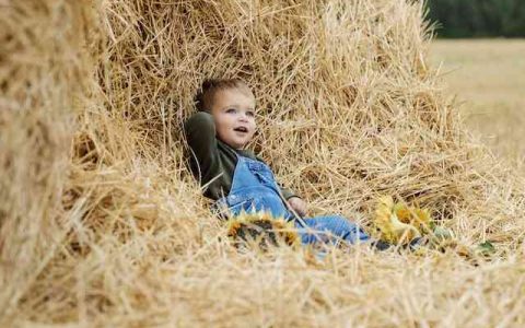 稷字取名男孩有寓意的名字 特选300个