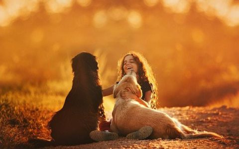 禾字为什么不能用来取名 禾字取名的含义是什么