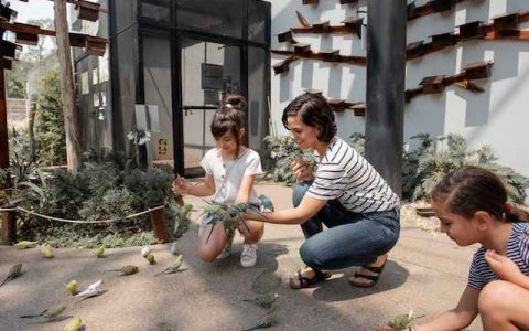 姓唐的男孩名字2023年出生 特选500个