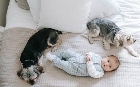 薛姓女孩名字大全诗意 特选500个