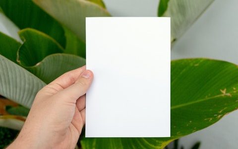 适合纸业公司的名称 特选600个