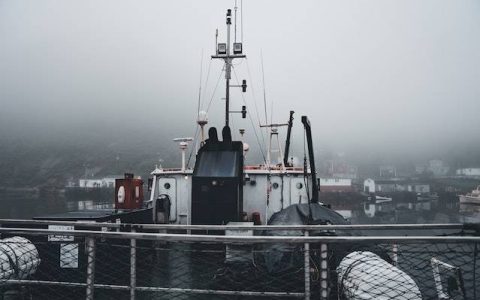 物流公司取名字参考大全500个