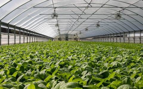 养殖公司取名字大全 特选790个