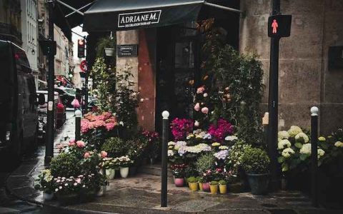 花店名字大全好听花店 特选600个