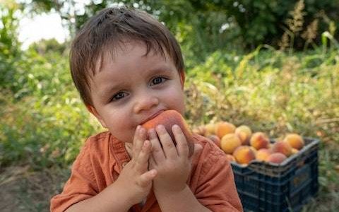 焦姓男孩取什么名字好 特选600个