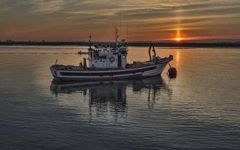 水产公司名称大全简单大气 优选150个