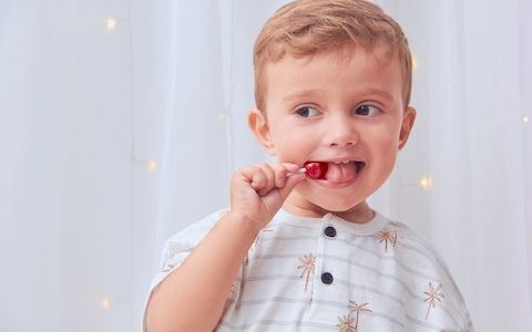 兔年男孩子取名字大全 特选高分500个