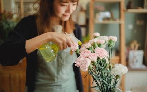 花店取名独特好听最新 挑选500个