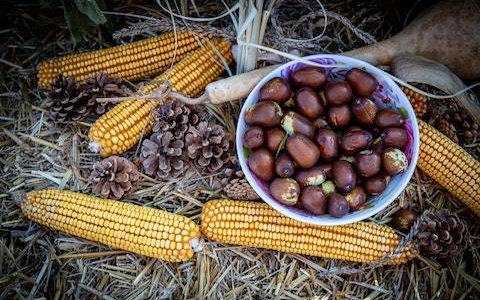 农副产品公司取名大全 优选200个