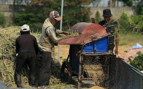 有创意的农业公司取名 优选200个