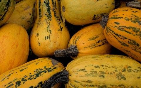 农产品公司名称大全简单大气 优选155个