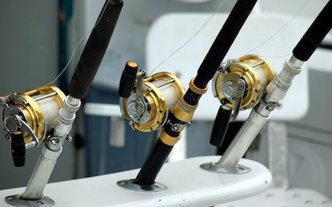 好听吉利的鱼店名字 特选300个