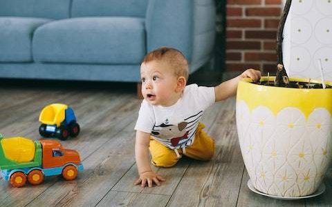 孩子取名字大全2023男孩免费 特选600个