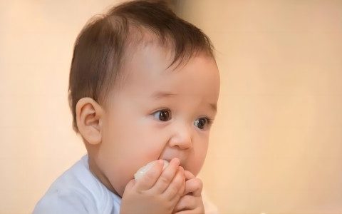 给宝宝起名字大全2024免费 优选563个