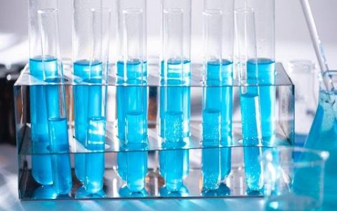 生物公司取名字参考大全 优选200个