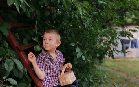 姓李男孩子取名大全2024款 特选332个