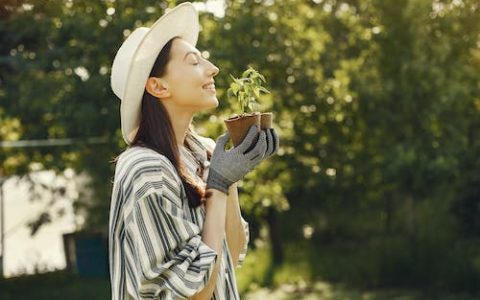 倪姓女孩有气质的名字 优选200个