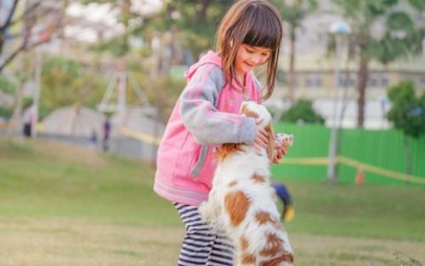 于姓女孩名字大全洋气的(起名分数最高232个)