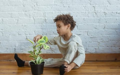 吴姓男孩名字大全2024属龙 特选395个