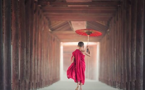 姓张的男孩取什么名字好属龙 特选370个