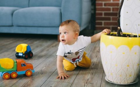 姓高男孩寓意好的名字属龙 优选344个