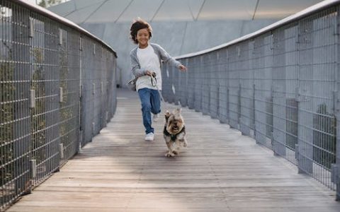 梁姓男孩名字大全2024属龙 特选390个