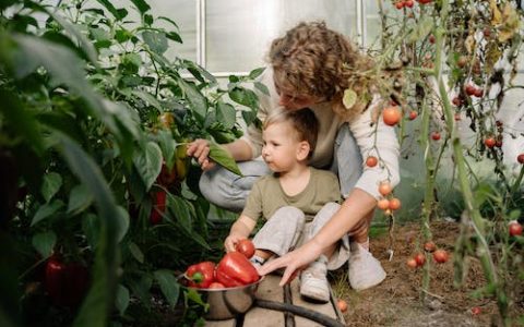 马姓男孩名字大全2024属龙 特选360个