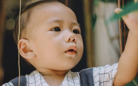 2024年孙姓龙宝宝取名字大全 优选240个