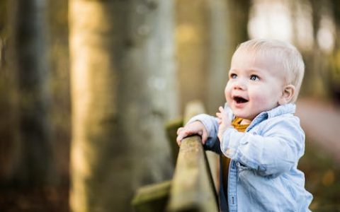 2024年姓张的龙宝宝起名字 男孩女孩各选300个