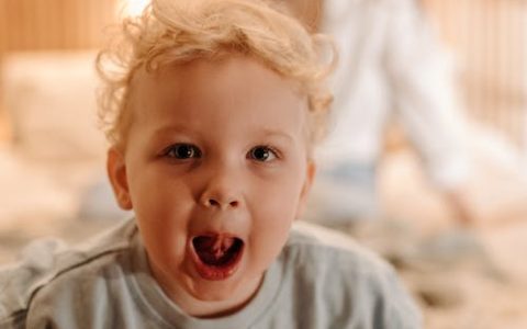 杨氏取名大全女孩名字大全 特选260个