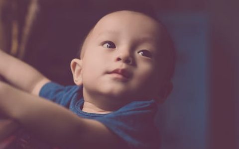 苏姓起名100分男孩名字 推荐200个