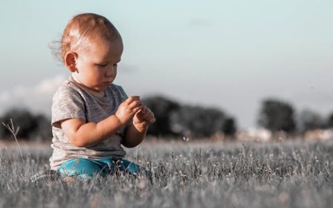 龙年二月出生的男孩名字 特选300个