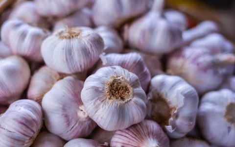 食材配送公司名字起名 优选200个