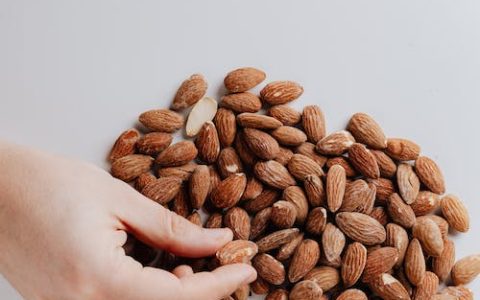 有创意的食品公司名字 优选200个