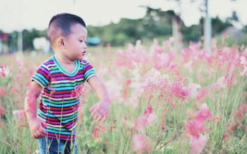 姓聂的好听的男孩名字 优选210个