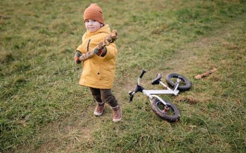 陈姓男孩大气有涵养的名字 优选159个