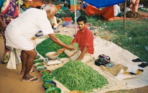 草业公司名称怎么起名 优选220个