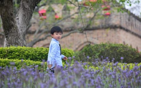 安字取名的寓意 安字最佳组合推荐